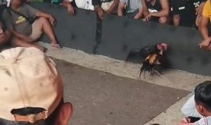 Screenshot_2026-04-12-20-44-57-980_com.miui.mediaviewer-edit